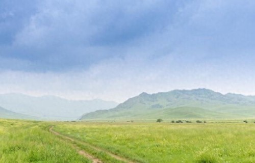 恭喜你，最难的日子已经彻底熬过去了！别不信，从今往后越来越好