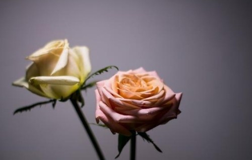 如若，你和丈夫关系不好，经常生他气，建议你读一下这篇文章