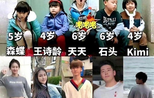 《爸爸去哪儿》首期萌娃12年后人生轨迹差距显著
