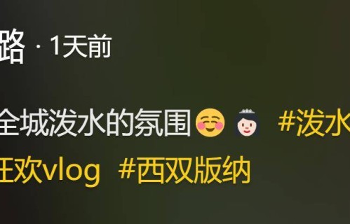 李小璐云南参加泼水节，穿露脐背心秀小蛮腰线条优美，看不出已经44岁了