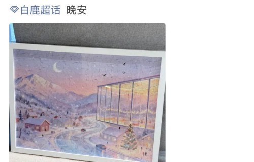 白鹿为了筹备十周年见面会，暂停了哪些影视作品的拍摄？