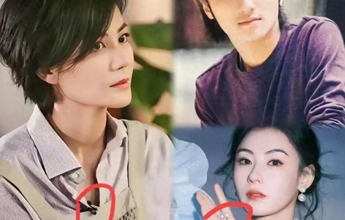 装不下去了？锋芝私下聚餐碰面后，王菲亲密同框异性，引全网热议 