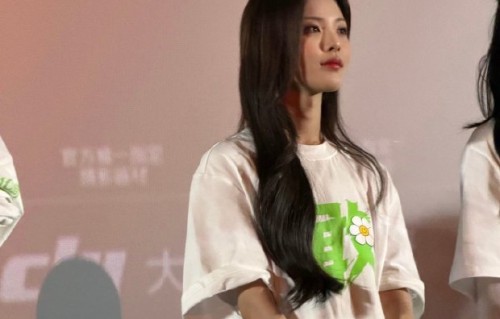 蒋龙与张弛在表演中的默契是如何形成的？