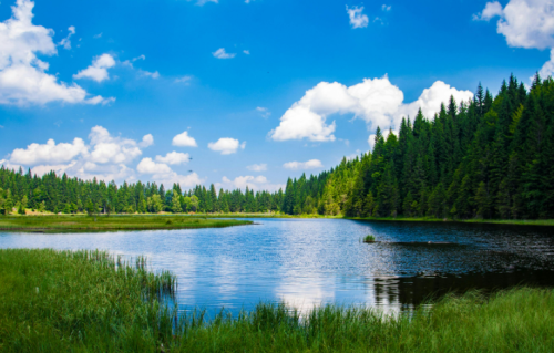 女人只要同意一件事，就是默许你是她的情人了，很准的