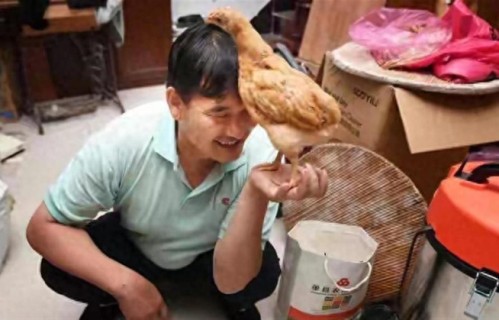 全网都在偶遇朱之文，这位57岁农民歌手为何让人如此上头？|曲阜|青岛|二手玫瑰|音乐节|农忙