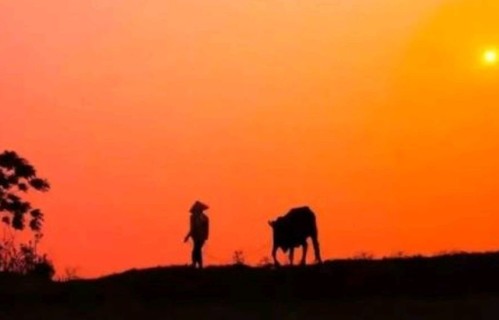 再有钱，这 5 样东西也别外借，尤其是第3样，过来人血泪教训