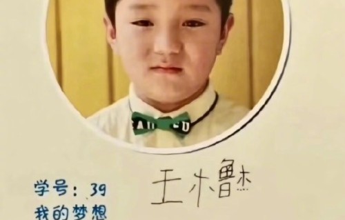 王橹杰童年趣事曝光：拆解名字写木鲁杰梦想当飞行员|粉丝|小学|舞台|索玛