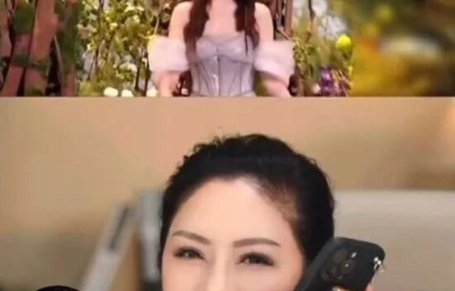 马桶台发力了？向太力挺李小冉！网友不买账