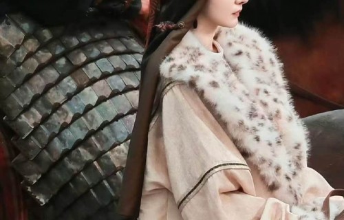 杨幂粗麻长袍豹纹毛领披风造型亮相