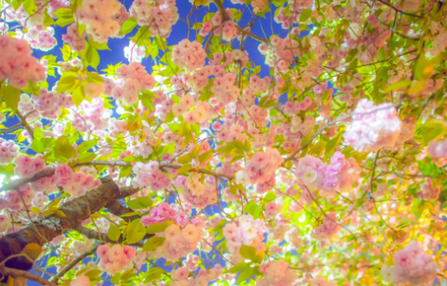 社会运行的底层逻辑：认知差，才是命运差