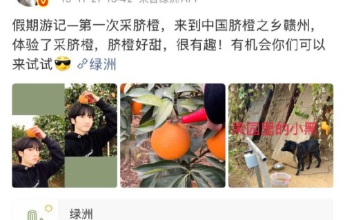 严浩翔搬运橙子的具体细节在哪些早期物料中有过展现？|翔霖|贺峻霖|粉丝|宿舍|片段