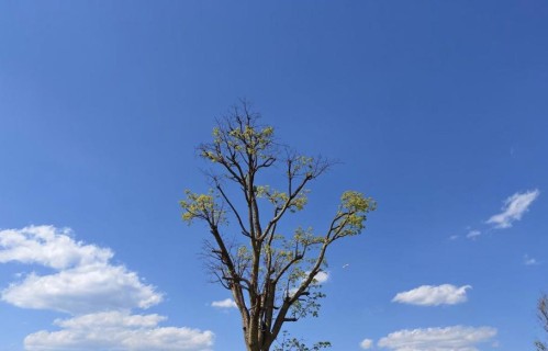 悟透人间百态，修得内心从容，半生烟火皆温柔
