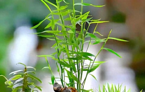 真正的强大，从来不是性格，而是认知