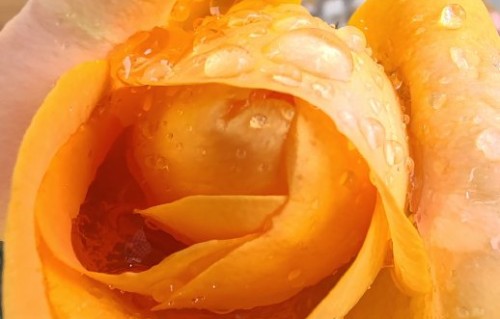 除了《蜜语纪》，钟汉良还演过哪些爱上离婚女性的角色？