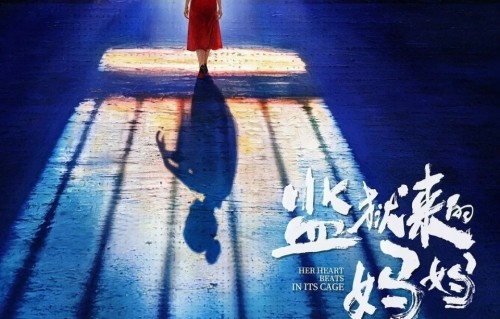点映票房4.3万，网友举报《监狱来的妈妈》，电话反馈来了