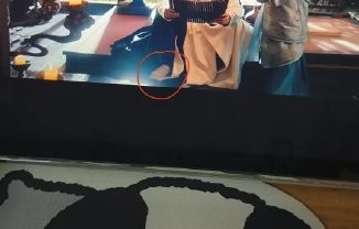 刘宇宁过去还有哪些带病坚持工作的例子？|骨折|折腰|流量剧|巡演|敬业