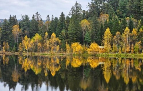 命运是场双人舞：你负责跳，天负责笑