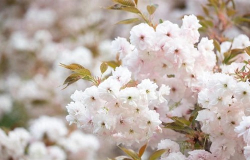 婆媳难题破解！用这3不智慧，让两家亲如一家