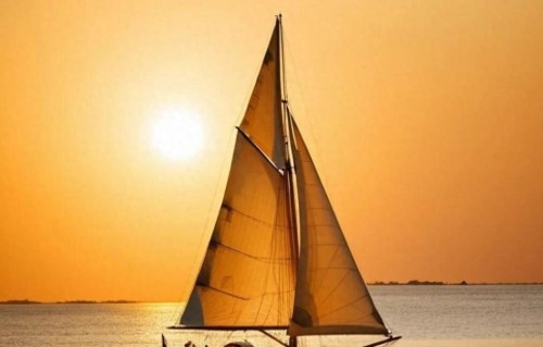 生死之外，皆是擦伤：一场关于生命权重的全民辩论