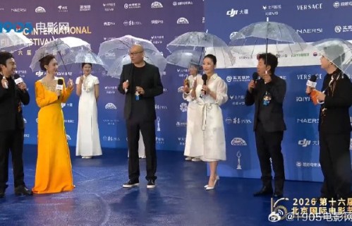 黄渤在红毯上佩戴的倪妮拼豆玩偶是谁制作的？