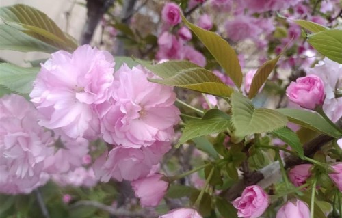 老男人别误会，女人跟你暧昧，却不让你亲近，多半是这几个原因