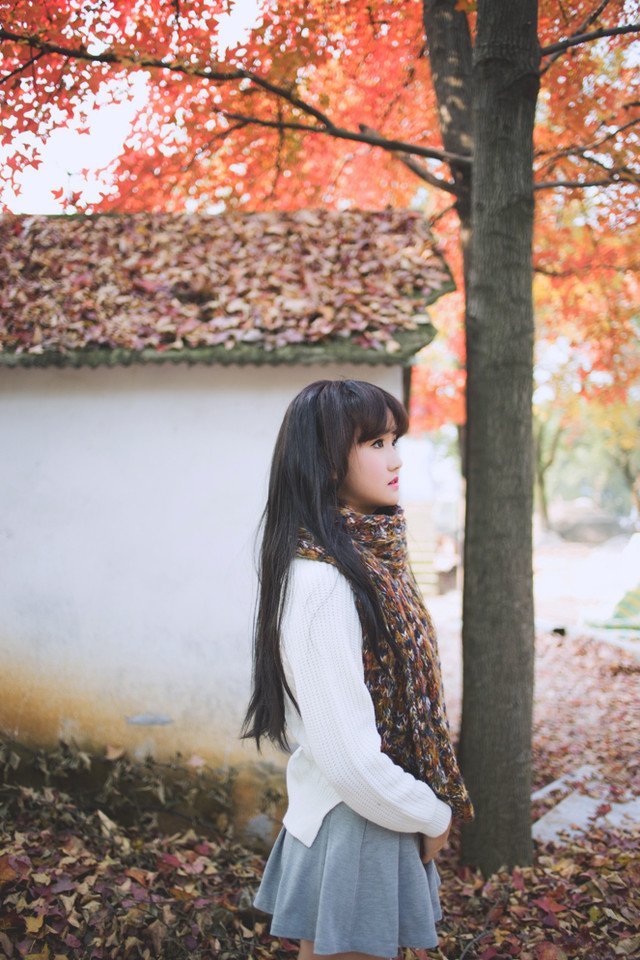 《刺猬索尼克4》宣布开拍 音速小子回归|伊德瑞斯·艾尔巴|詹姆斯·麦斯登|刺猬索尼克3|本·施瓦茨|杰夫·福勒