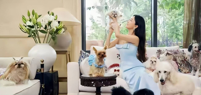  她不请专业牵犬师，全程亲自上场，素颜面对镜头，在异国赛场从容自信，带幼犬击败众多强敌。这份热爱与坚持，不比演戏容易。霍思燕用行动证明，女明星无需被角色束缚，人生的赛道多样，追求热爱的姿态同样闪光。比起虚假的精致人设，这种真实、自信、为热爱全力奔赴的状态，才更具迷人魅力。