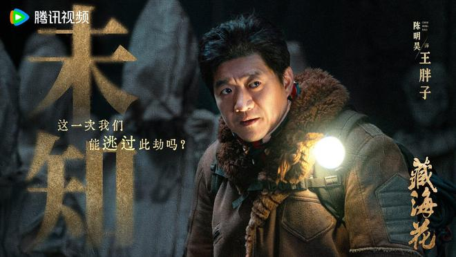 《藏海花》